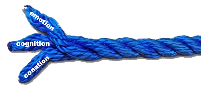 cognitionconationemotion rope