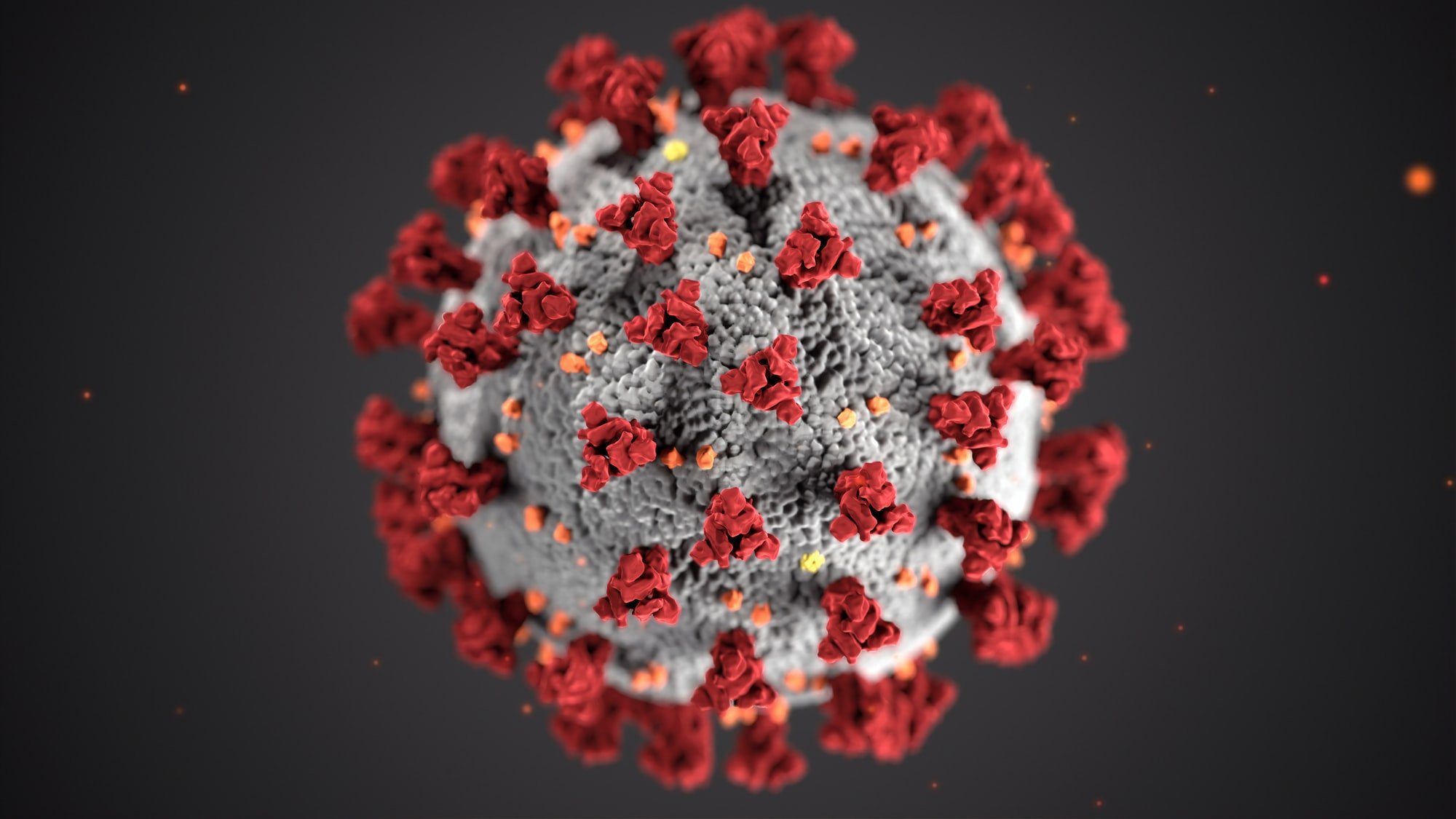 Coronavirus- an evolving guide