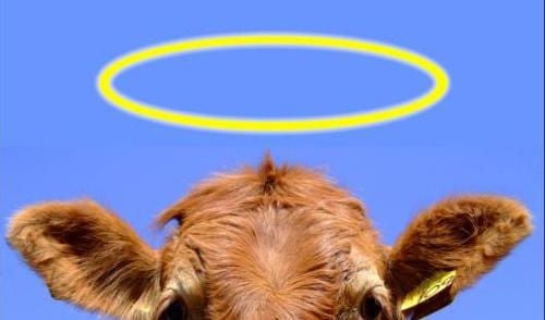 The 8 Sacred Cows of Systems Thinking